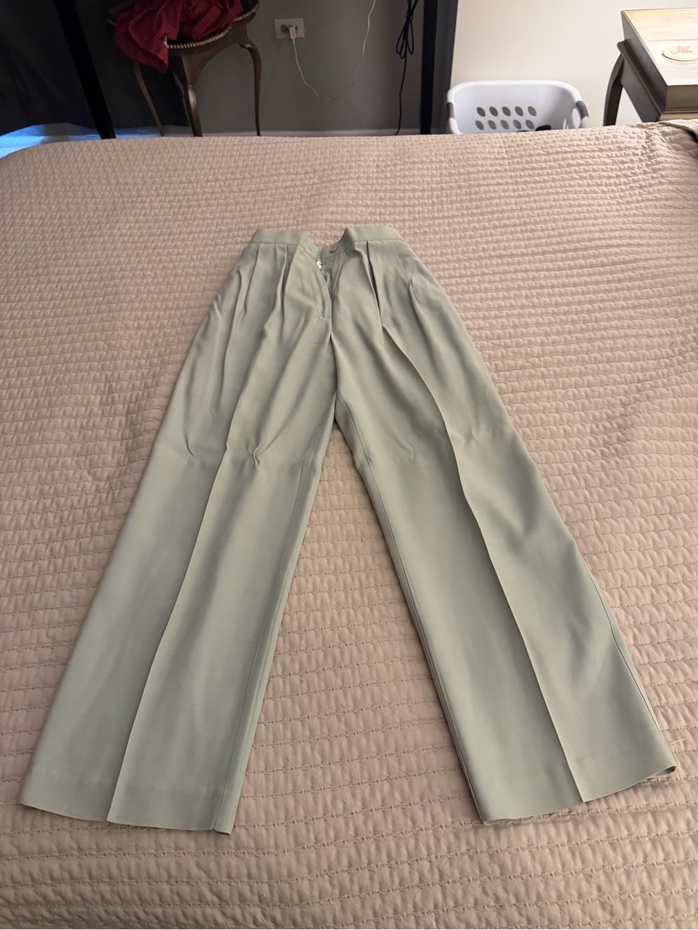 Women’s Pleated Pants in Light Sage